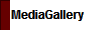 MediaGallery